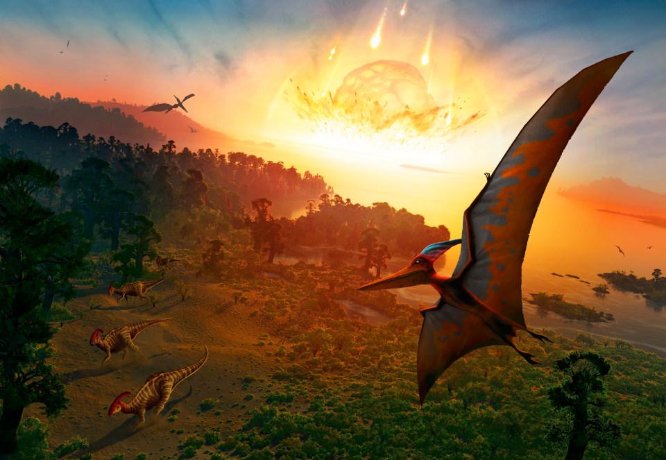  The asteroid vaporised nearby dinosaurs instantly