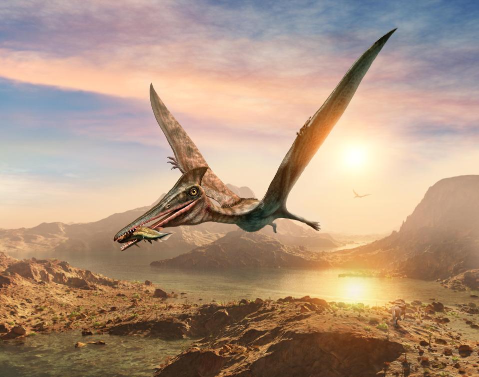  Molten rock turned to glass bullets as it dropped from the sky and killed large flying dinosaurs