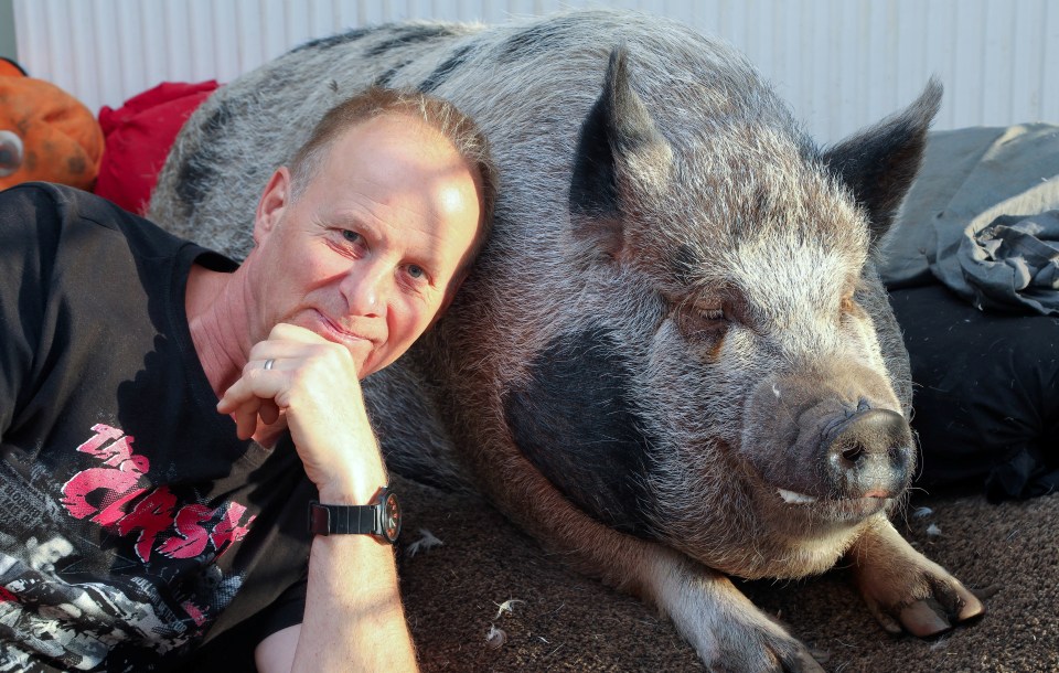 Nigel Graham bought Grace as a birthday present for wife Sam, thinking she was a micro-pig
