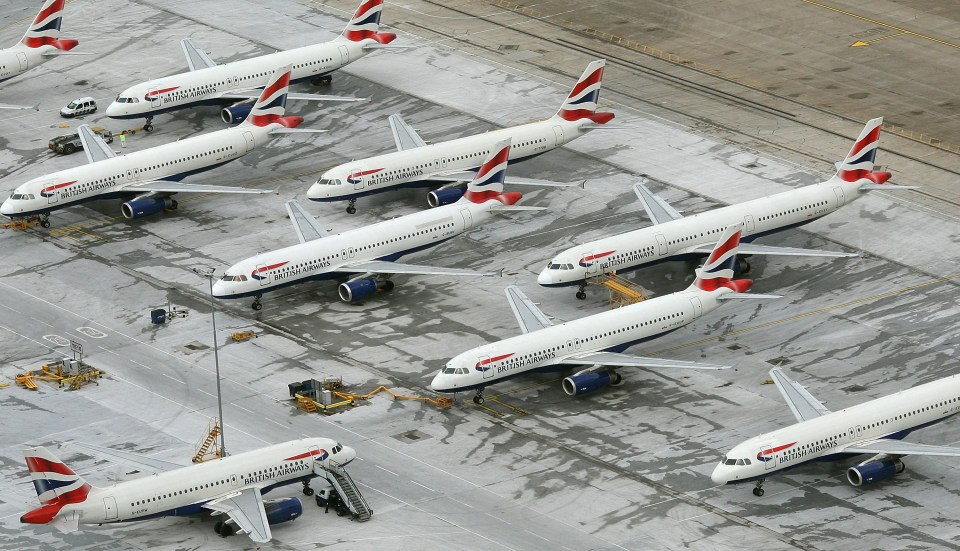  Flights were halted at Heathrow yesterday after a swan wandered on to a runway