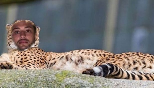  She posted a picture of Myles as a cheetah in the jungle