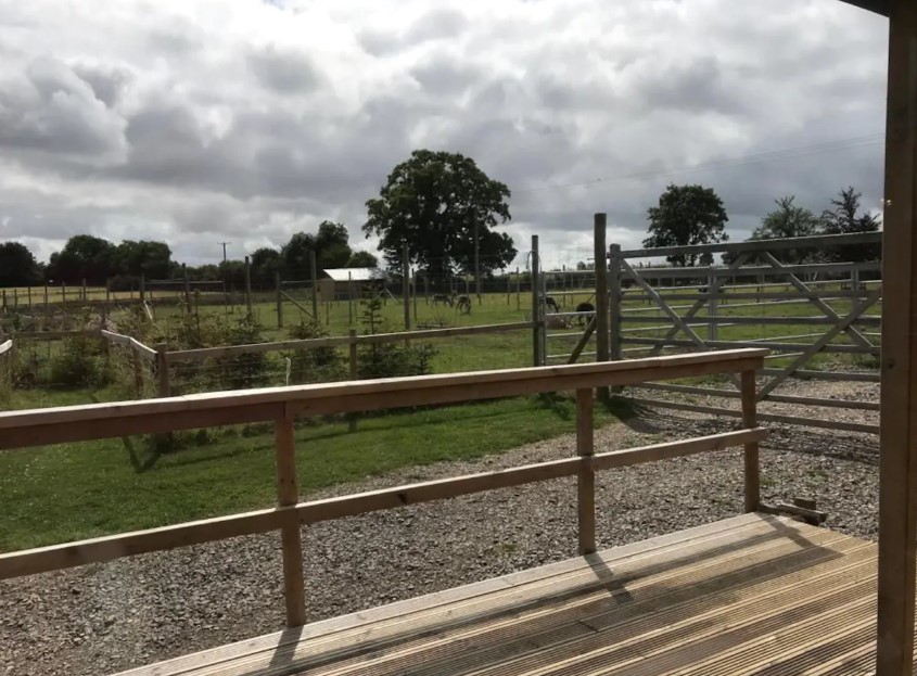 Guests will wake up with a view of the herd