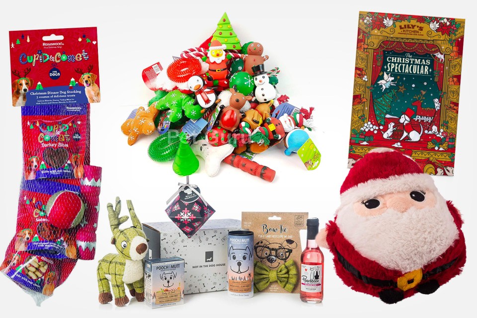 best dog christmas gifts