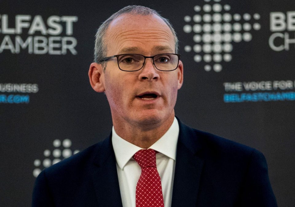 Ireland’s deputy PM Simon Coveney cast doubt on the PM’s insistence a trade deal will be done by the end of next year