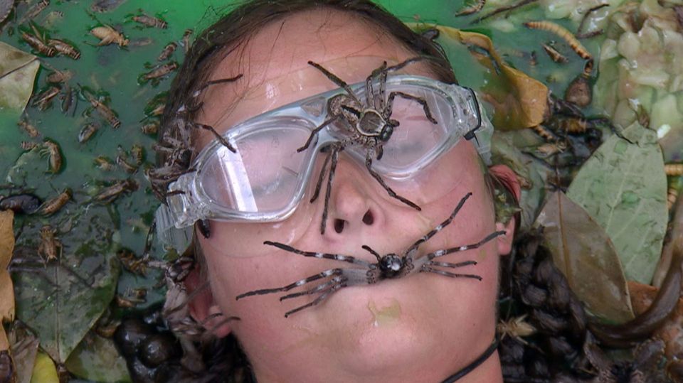 Jac was covered in jungle nasties in the Stake Out