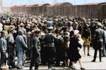Jewish inmates are forced by SS officers into two queues — one destined for the gas chambers