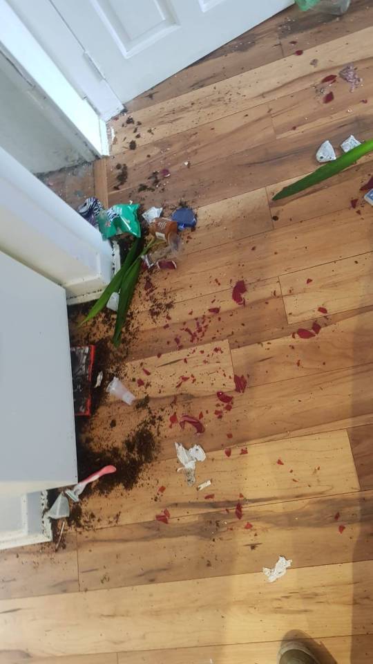  The owners of the flat now face spending another £3,500 on new things to replace what was ruined