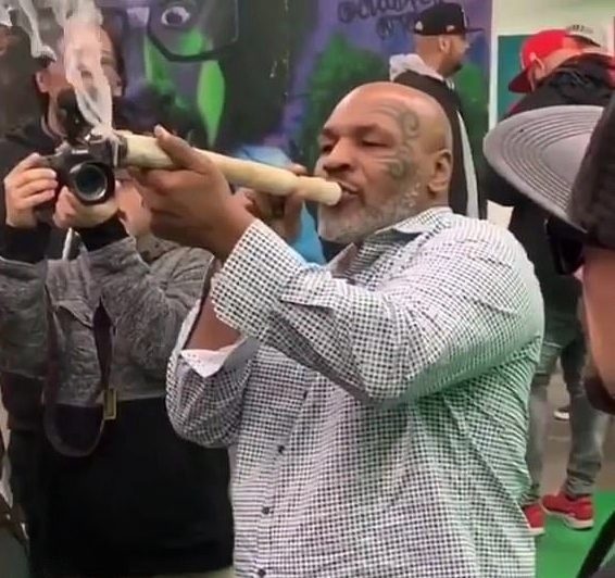 Earlier this year, Tyson revealed he smokes about £40,000 worth of cannabis a month