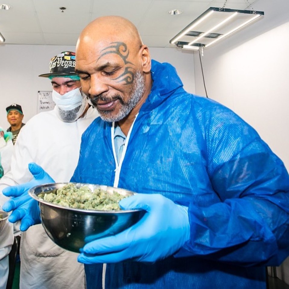 All the products are given Tyson's seal of approval before he sells them