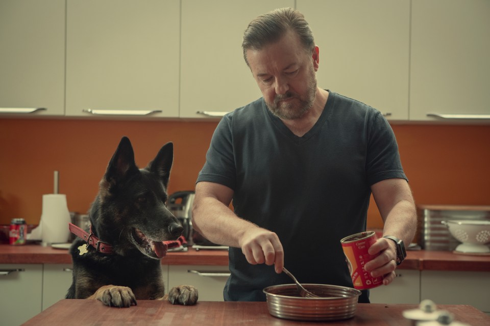  The first series was a huge hit for Ricky and Netflix, and speaking about the show, Ricky revealed it did originally have another title