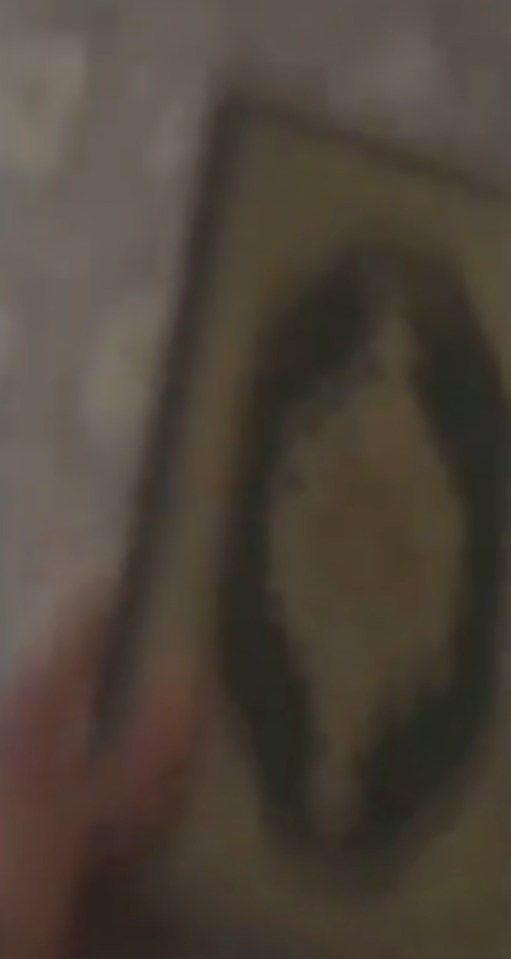 In the clip a man holds a Quaran in his hand 