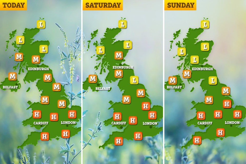  The Met Office has warned of high grass pollen levels across the south of England and Midlands
