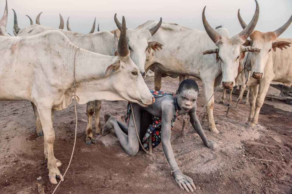 A member of the tribe gathering dung from the ground