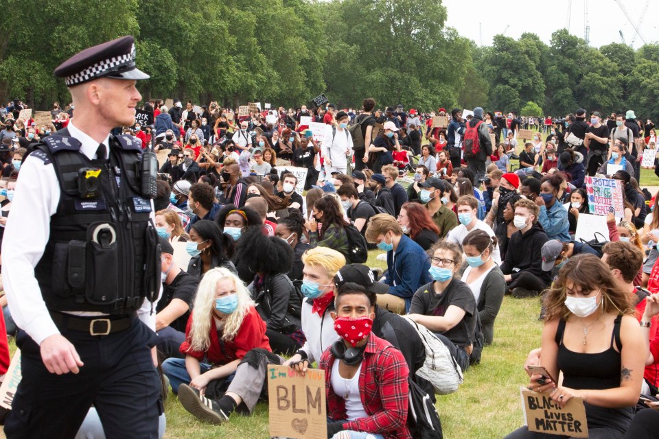  The peaceful protest saw people arriving with signs and masks and sitting on the grass in the park