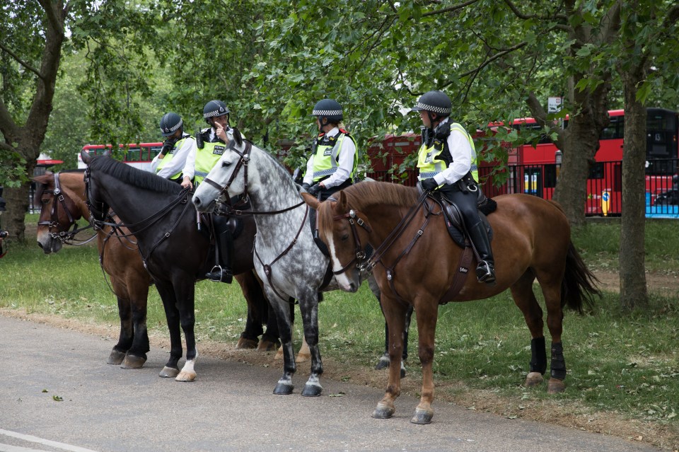  Cops on horseback stood near the protest in central London