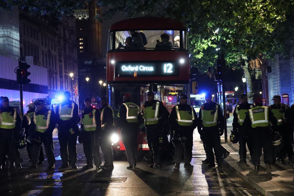  Police in high-vis vests were out in central London last night as protests continued
