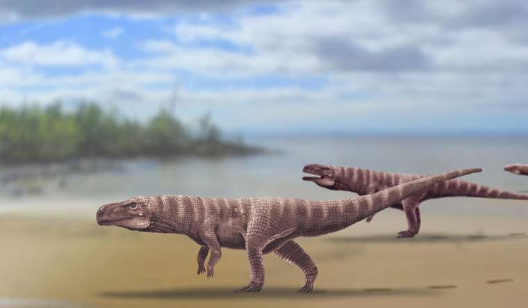 Experts think the huge creatures ate dinosaurs