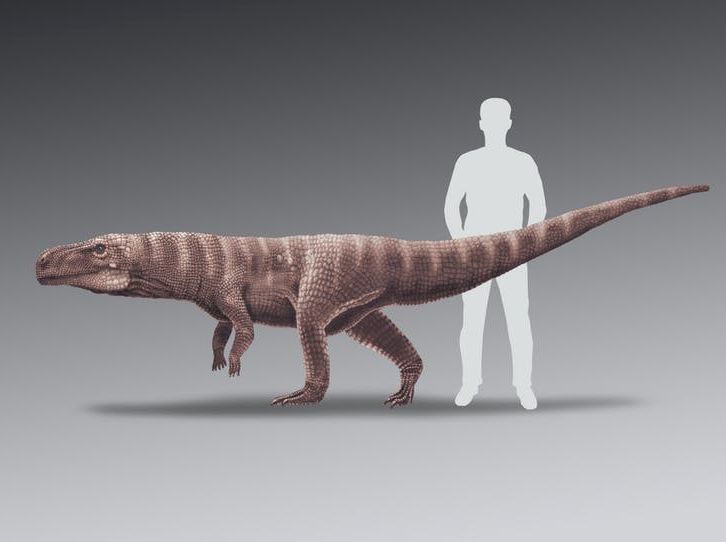An artistic impression of the creature