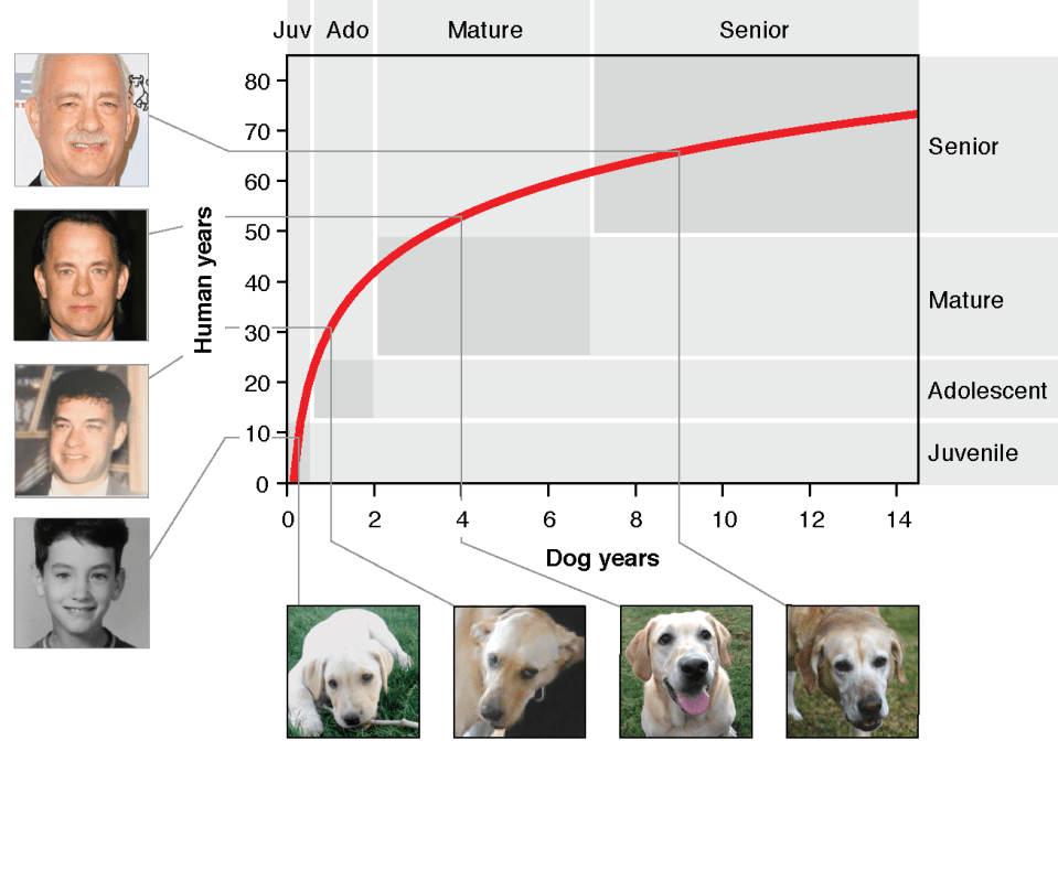 The graph created by the researchers
