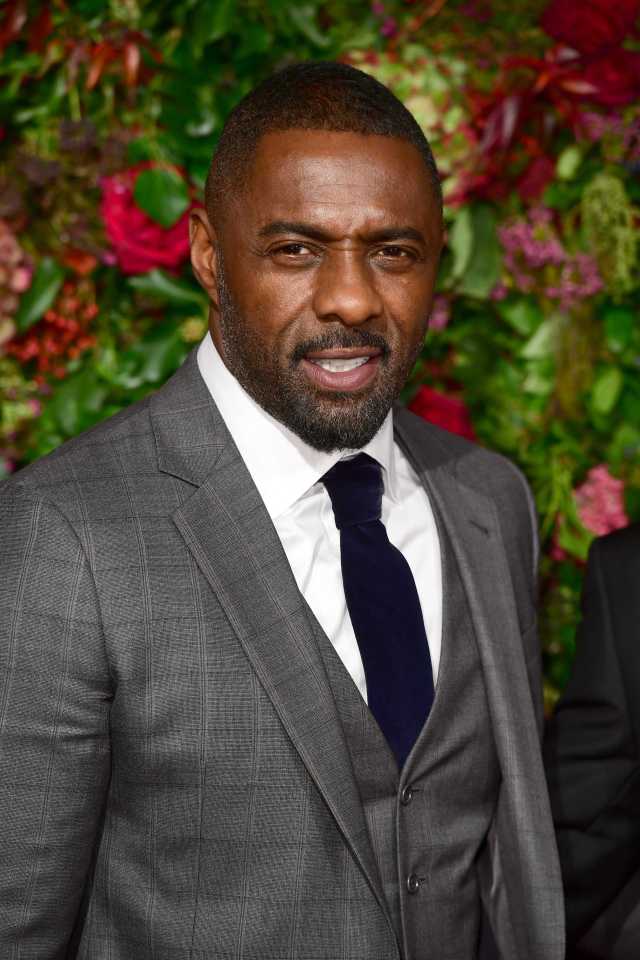 Idris teased some details about what the movie might contain