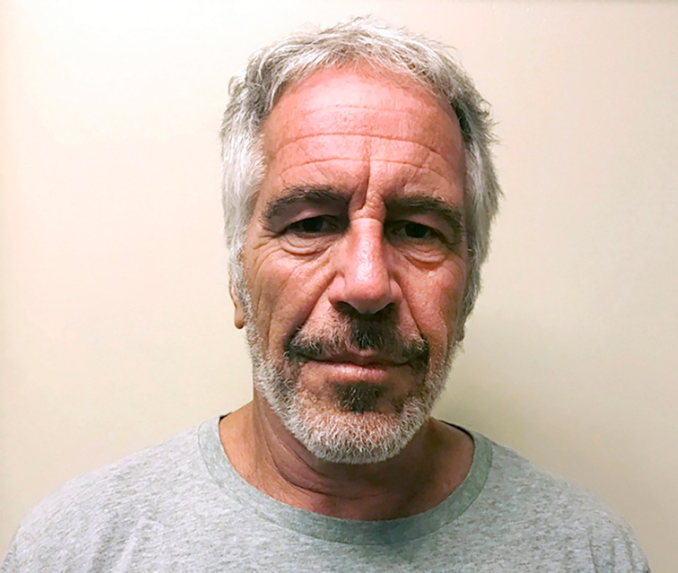 The origin of paedophile Jeffrey Epstein's fortune has been a mystery