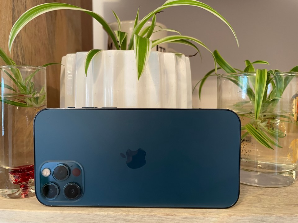 The phone is very attractive, and looks great next to any and all indoor plants