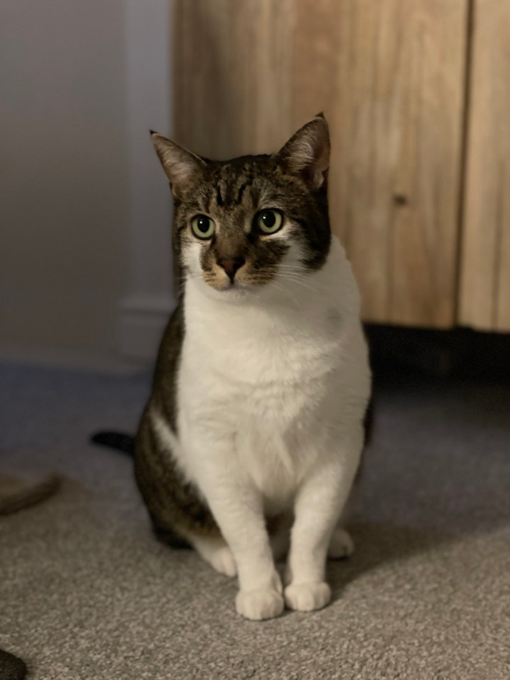 This is a Portrait Mode shot taken in very low light, but the iPhone 12 makes the image much brighter and clearer than you'd expect