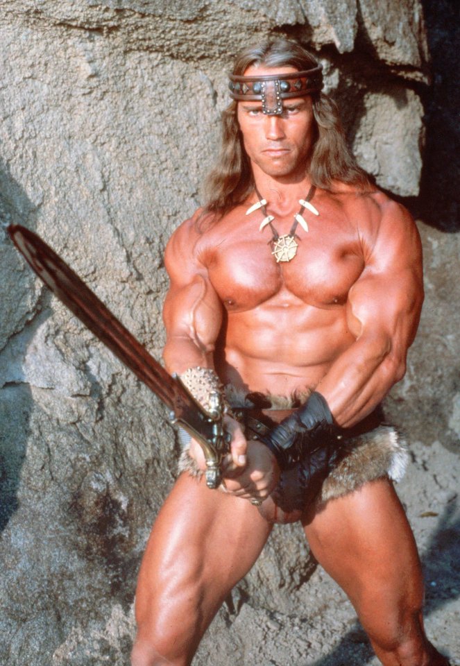 Arnold Schwarzenegger played the character in the 1982 film and its sequel 