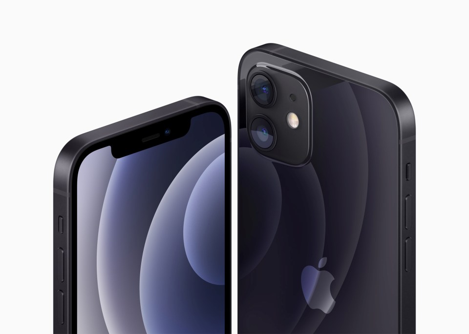 The iPhone 12 and iPhone Mini have two rear cameras, instead of three