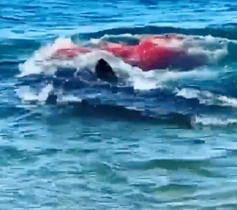 The footage shows the sea turning red