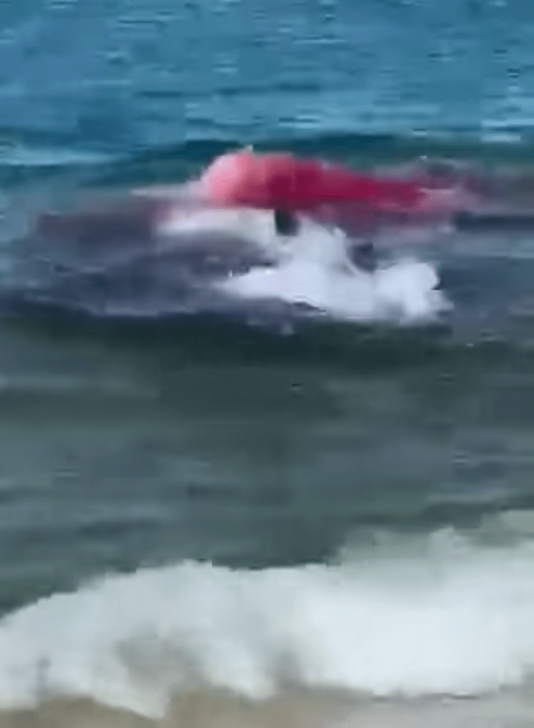 The whole attack occurred just a few feet from the beach