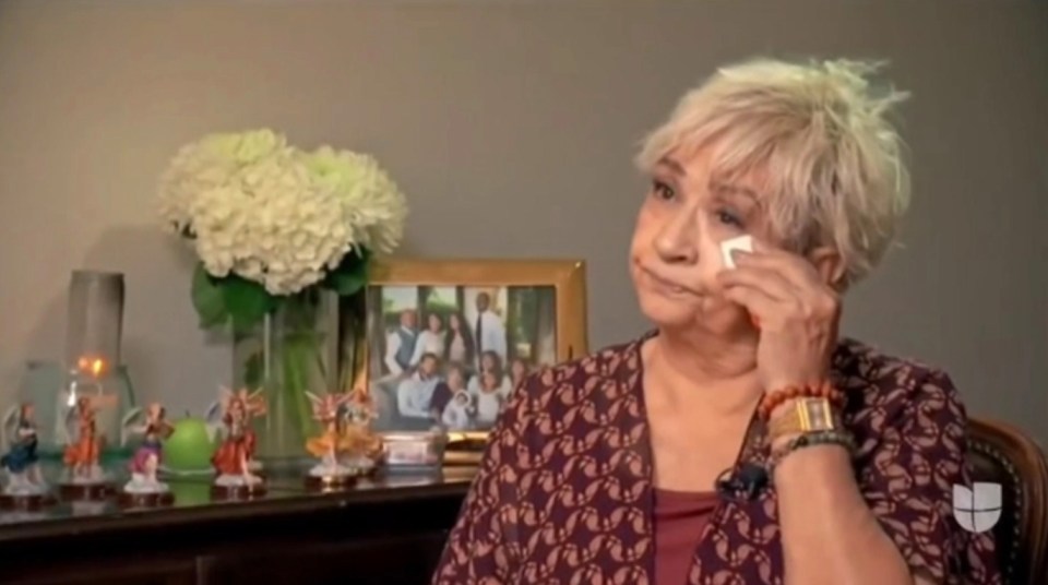 Sofia Laine, Vanessa's mother, sued her daughter in December 2020