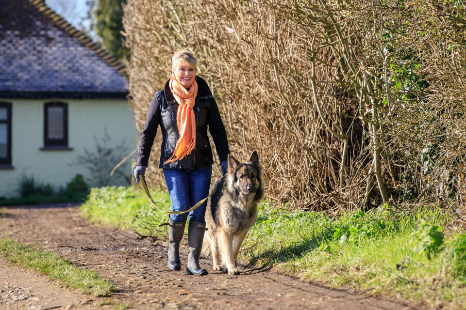 Without work, Cheryl has spent lockdown walking her German shepherd Cuba
