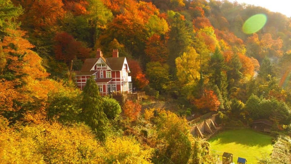 The house featured in Sex Education is surrounded by forest