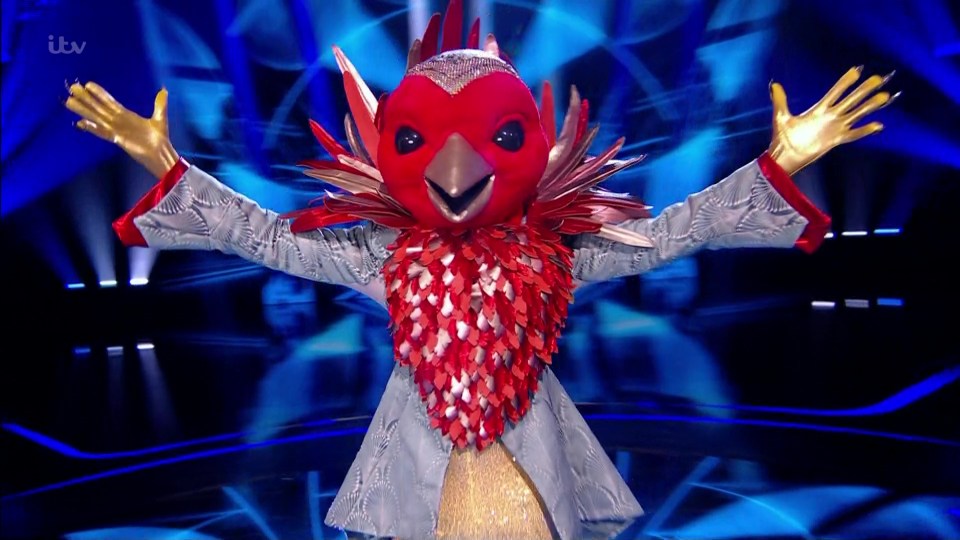 Last month Aston was unmasked as the mystery star behind Robin in the final of ITV contest The Masked Singer