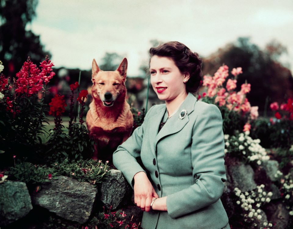 She said the Queen will likely take her beloved corgis for a walk, as she does at time of 'trauma'