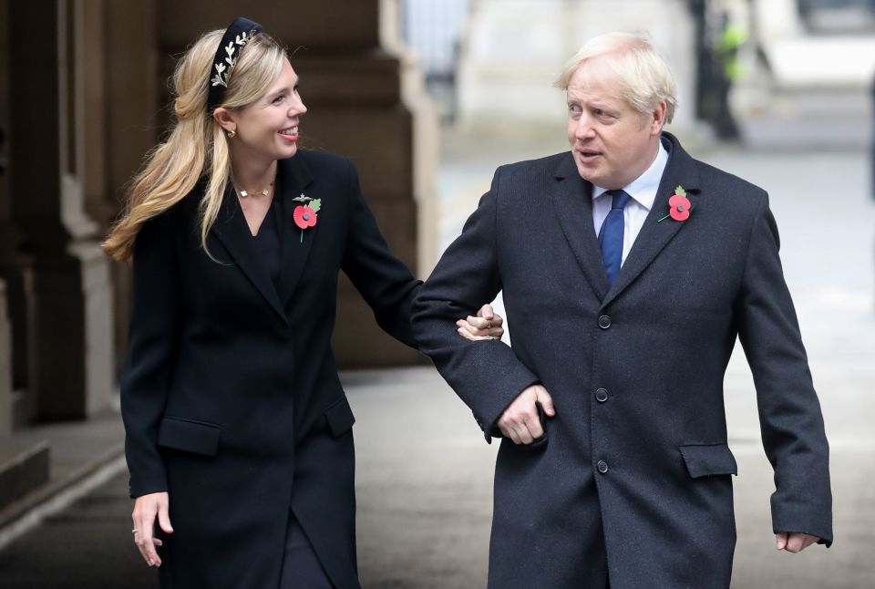 It was claimed Carrie pressured the PM to pin a series of sleaze leaks on Mr Cummings
