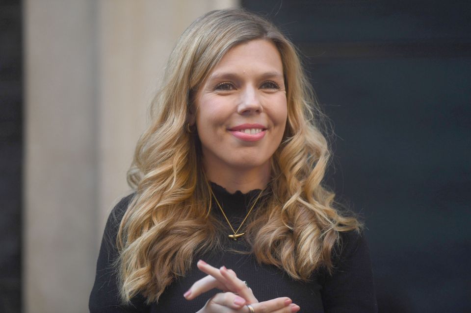 A Tatler magazine profile of  the PM's fiancée Carrie Symonds suggested she was keen to overhaul the 'John Lewis nightmare' they inherited from Theresa May