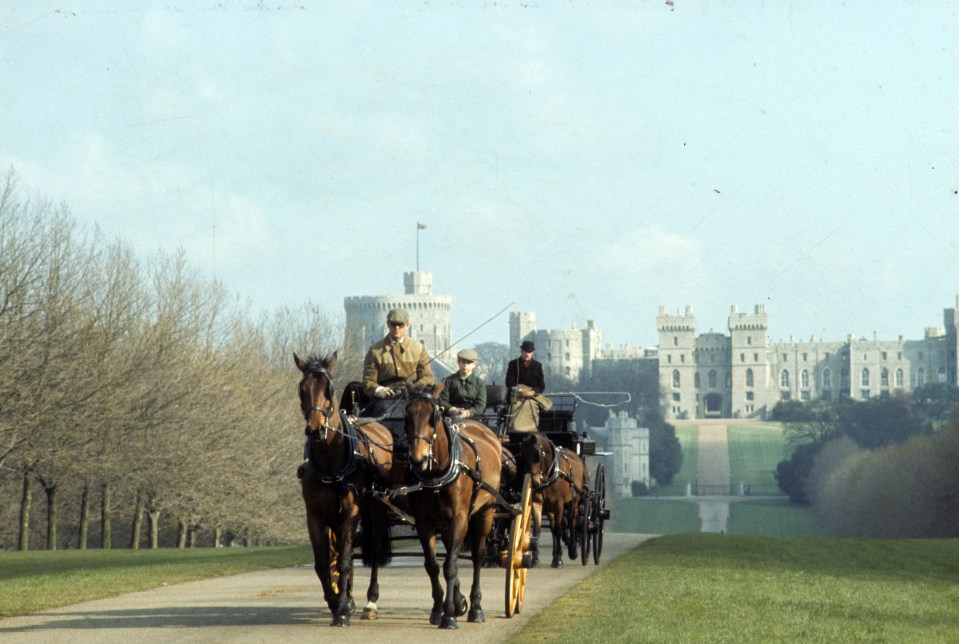 One of the loveliest ways to explore the park is with Windsor Carriages