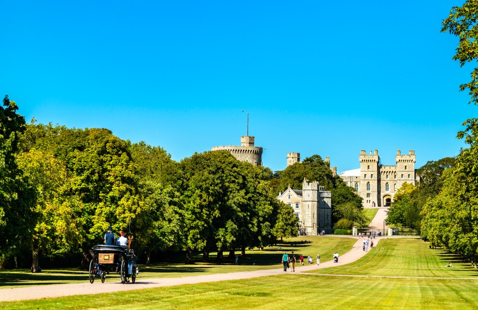 The Long Walk in Windsor is 2.6miles of splendid horse chestnut trees