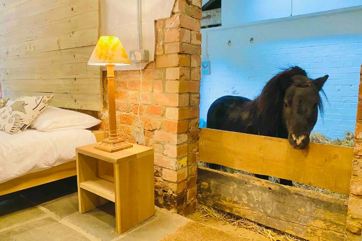 Visitors so far have been leaving glowing reviews about the 'wonderful experience'