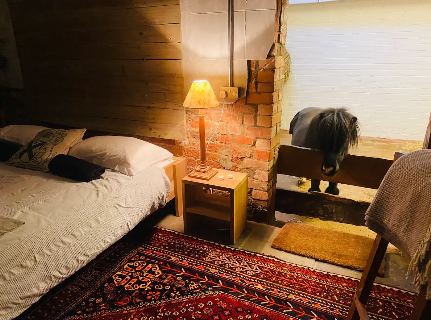 The bedroom allows Brits to have a sleepover with a pony called Basil
