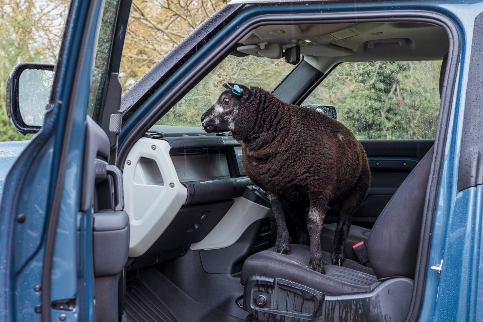 Land Rover has created the Defender Hard Top — that’s van, to you and me — for people who actually work with their hands