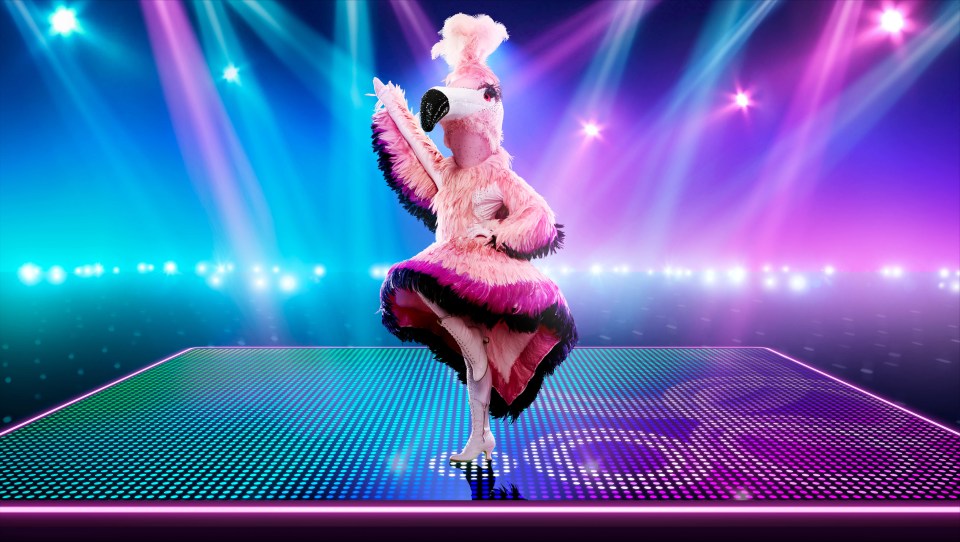 Louise had performed as Flamingo