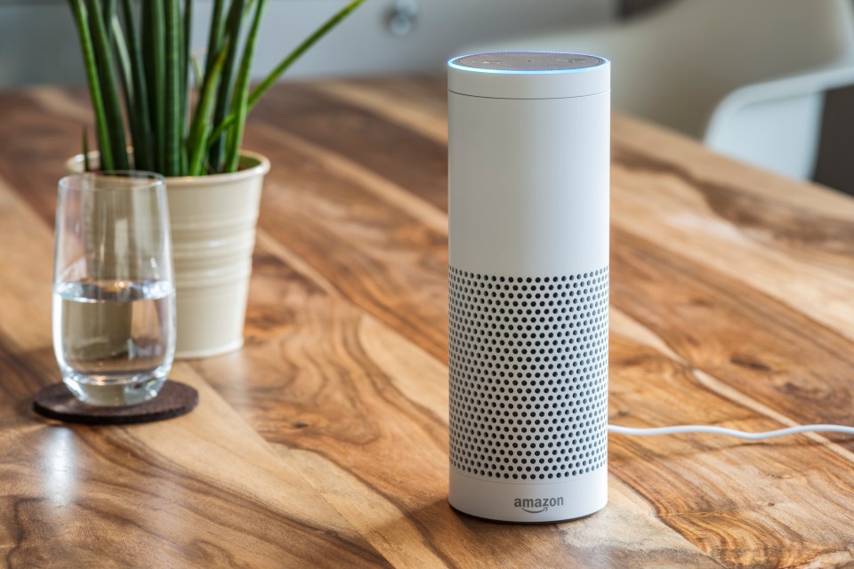 Amazon Alexa's and Google Nests are  collecting data in our homes