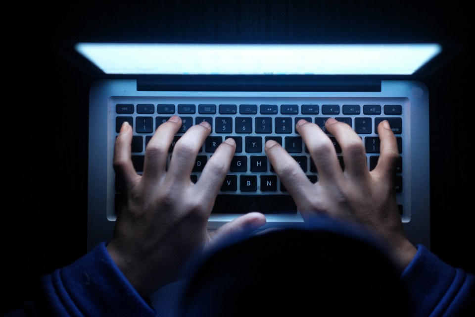 Professor Veliz advises people to not accept all cookies from every website