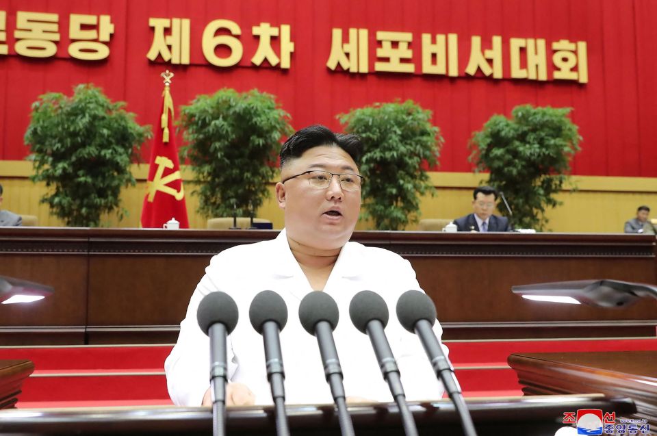 Kim has refused to detail the extent of the food shortage crisis
