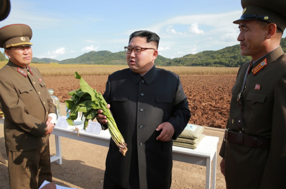 North Korean food prices have reportedly skyrocketed