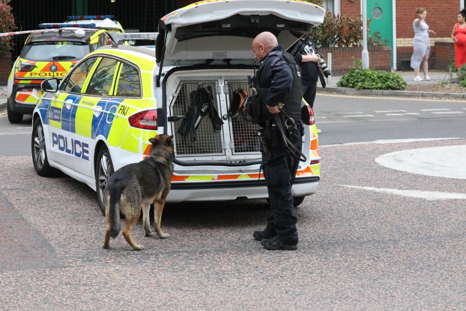 Police were called by terrified neighbours