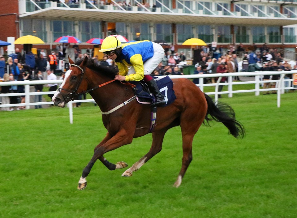 Saffie has established herself as one of the top young jockeys in the country